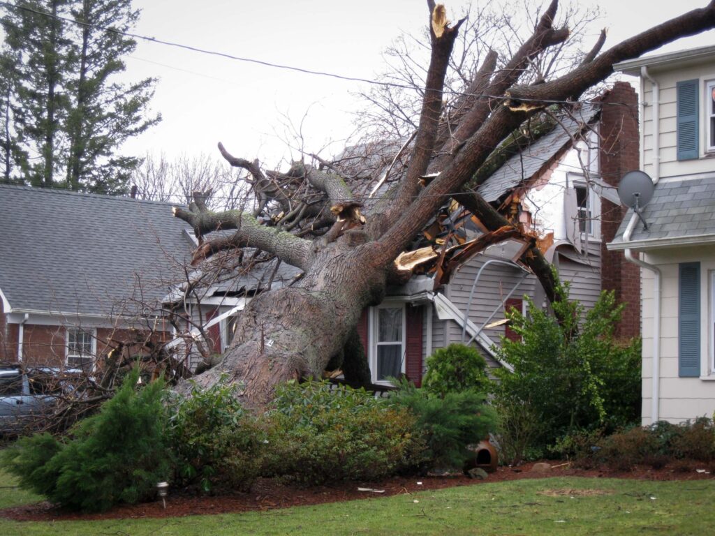 A tree stands on a house that has been damaged by a hurricane